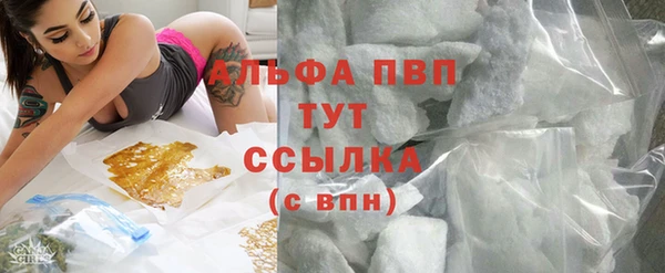 PSILOCYBIN Белоозёрский