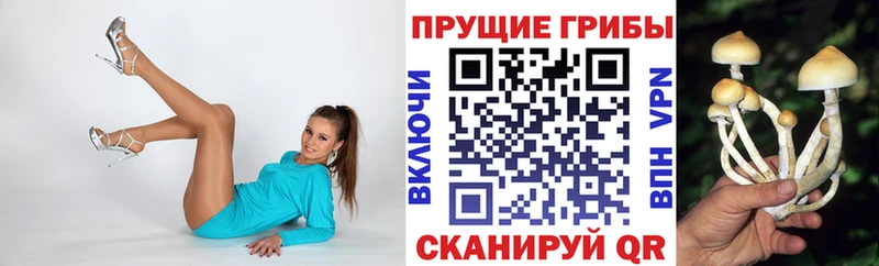 Псилоцибиновые грибы Psilocybine cubensis  ссылка на мегу ССЫЛКА  Верхний Тагил 